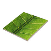 Groen blad tegeltje (Zijkant)