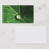 Groen blad visitekaartje (Voorkant / Achterkant)