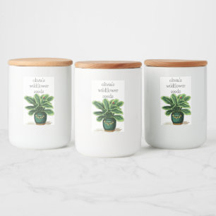 Groen Bladgroen Plant in Groene Pot met Lieveheers Voedselcontainer Etiket
