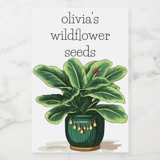 Groen Bladgroen Plant in Groene Pot met Lieveheers Voedselcontainer Etiket (Enkel label)