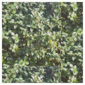 Groen bladpatroon stof (Close Up)