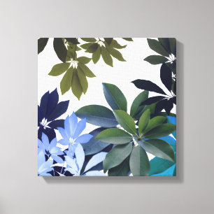 Groen & Blauw blad Ingewikkeld Canvas