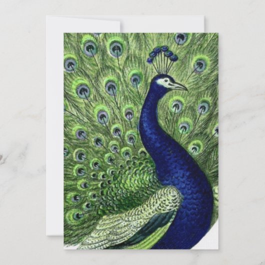 Groen Blauw Chic Pauw bruiloft Kaart (Achterkant)