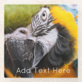 Groen, blauw en geel Macaw Parrot Glazen Onderzetter (Voorkant)