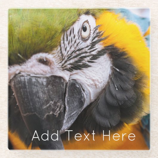 Groen, blauw en geel Macaw Parrot Glazen Onderzetter (Voorkant)