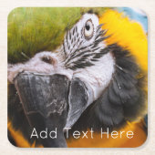 Groen, blauw en geel Macaw Parrot Kartonnen Onderzetters (Voorkant)