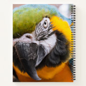 Groen, blauw en geel Macaw Parrot Notitieboek (Achterkant)