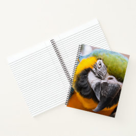 Groen, blauw en geel Macaw Parrot Notitieboek