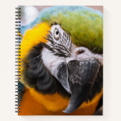 Groen, blauw en geel Macaw Parrot Notitieboek (Voorkant)