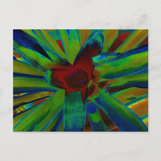 Groen blauw Plant Afbeelding Briefkaart (Voorkant)