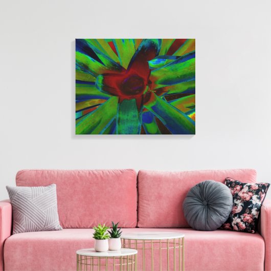 Groen Blauw Rood Bromeliad Plant Afbeelding Canvas Afdruk (Insitu (Woonkamer))