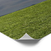 groen , blauwe lucht , witte wolk poster (Hoek)
