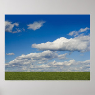 groen , blauwe lucht , witte wolk poster