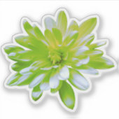 Groen blauwgroen geel bloemenretro Daisy Sticker (Voorkant)