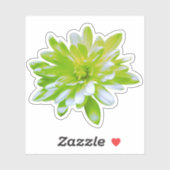 Groen blauwgroen geel bloemenretro Daisy Sticker (Vel)