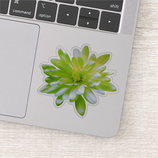 Groen blauwgroen geel bloemenretro Daisy Sticker (Detail)