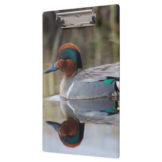 Groen Blauwgroen Klembord (Links)