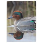 Groen Blauwgroen Klembord (Achterkant)