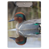 Groen Blauwgroen Klembord (Voorkant)