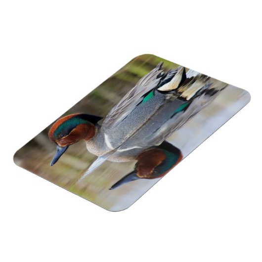 Groen Blauwgroen Magneet (Linkerzijde)