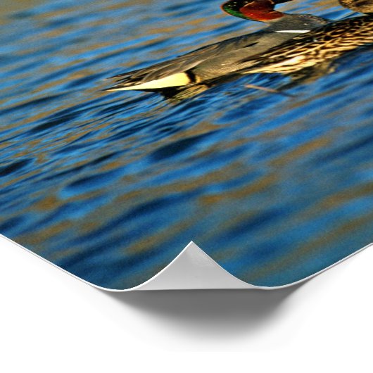 Groen blauwgroen - paar poster (Hoek)