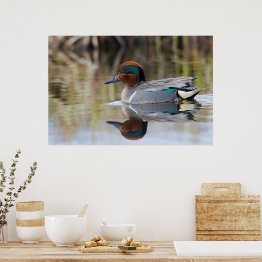 Groen Blauwgroen Poster (Keuken)