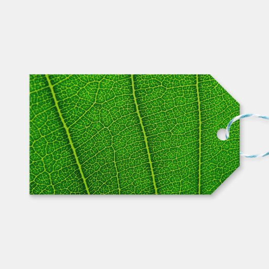 Groen boomblad cadeaulabel (Voorkant (Horizontaal))