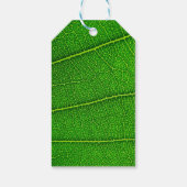 Groen boomblad cadeaulabel (Achterkant)