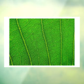 Groen boomblad raamsticker (Vel 3)