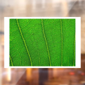 Groen boomblad raamsticker (Vel 2)