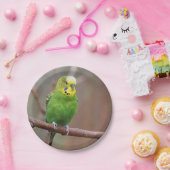  groen Bord voor het fotopapier met boedgie (Feest)