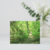 Groen bos briefkaart (Staand voorkant)