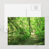 Groen bos briefkaart (Voorkant / Achterkant)