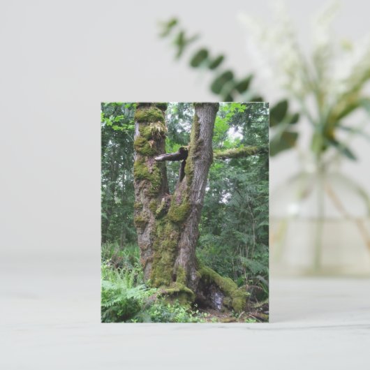 Groen bos briefkaart (Staand voorkant)