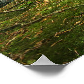 Groen bos en rivier poster (Hoek)