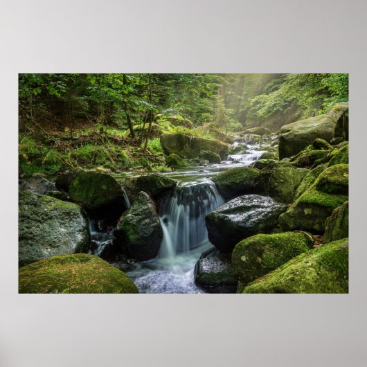 Groen bos en rivier poster (Voorkant)