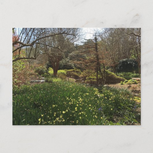 Groen bos met gele bloemen briefkaart (Voorkant)