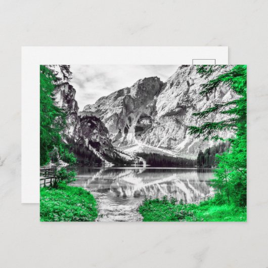 Groen bos met zwart wit berglandschap briefkaart (Voorkant / Achterkant)