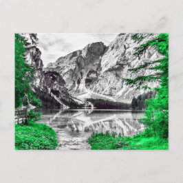 Groen bos met zwart wit berglandschap briefkaart