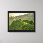 Groen bos op de heuvel canvas afdruk (Voorkant)