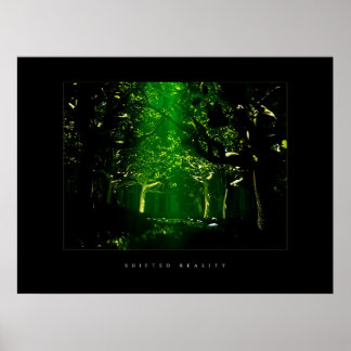 Groen bos poster