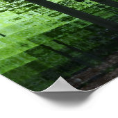 Groen bos poster (Hoek)