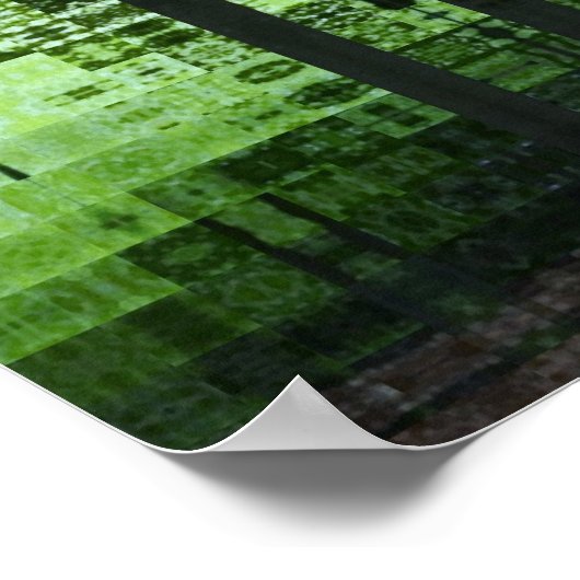 Groen bos poster (Hoek)