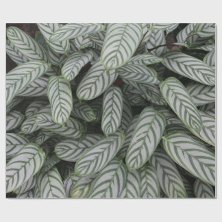 Groen botanisch bladpatroon inpakpapier