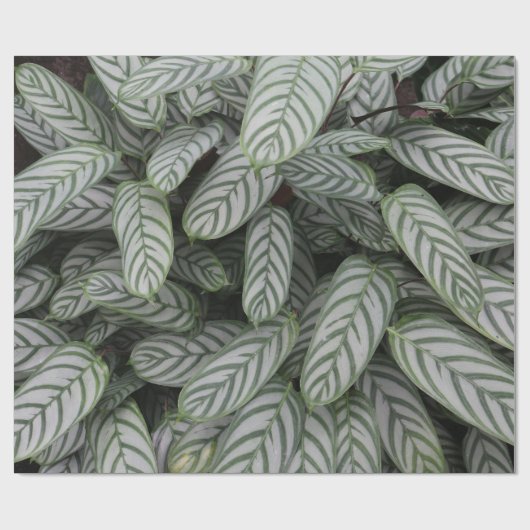 Groen botanisch bladpatroon inpakpapier (Vlak)