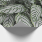 Groen botanisch bladpatroon inpakpapier (Hoek)