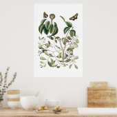 groen botanisch poster (Keuken)