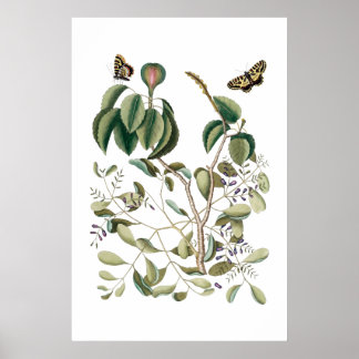  groen botanisch poster