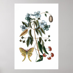 groen botanisch poster