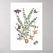  groen botanisch poster (Voorkant)